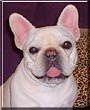 Mable