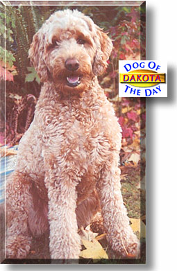 Dakota, the Dog of the Day