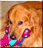 Baxter