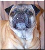 Walter