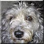 Bailey