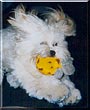 Quigley