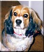 Molly