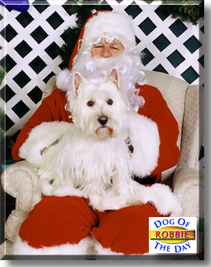 Robbie, the Dog of the Day