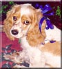 Patches
