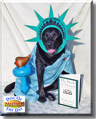 Panther Cleopatra, the Dog of the Day