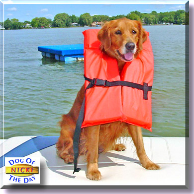 Nicki, the Dog of the Day