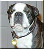 Rosie