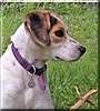 Maggie