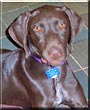 Sissy Mae