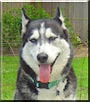 Mukluk