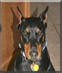Doby