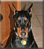 Doby