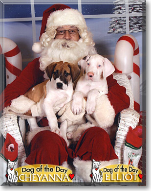 Cheyanna, Elliot, the Dog of the Day