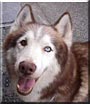Lakota