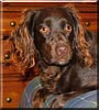 Annie
