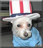 Sparky