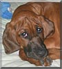 Silas