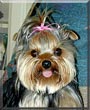 Roxie