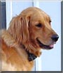 Gunther