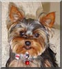 Roxy