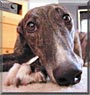 Sweep