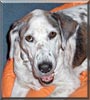 Missy