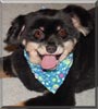 Barkley