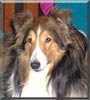 Bailey