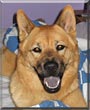Xena