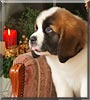 Shiloh