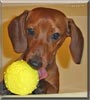 Oscar