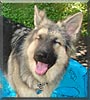 Kodiak