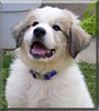 Sadie