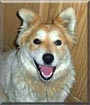 Sadie
