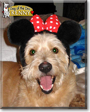 Kenny, the Dog of the Day
