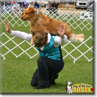 Chilly, the Dog of the Day