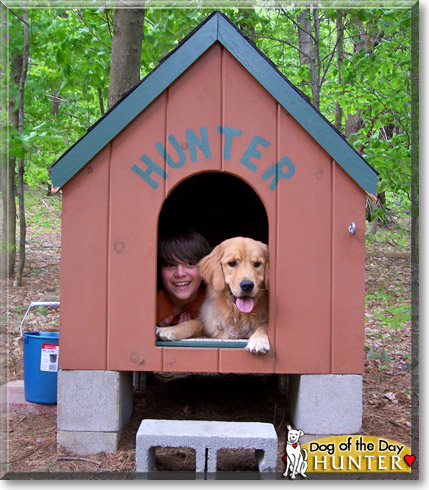 Hunter, the Dog of the Day Hunter, the Dog of the Day