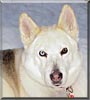 Meeka