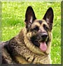 Xena