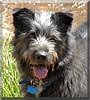 Newman