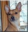 Baxter