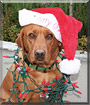 Murphy