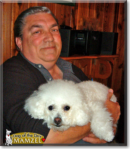 Mamzel, the Dog of the Day