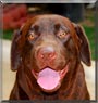 Copper