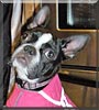 Emmi Lou
