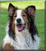 Cooper
