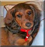 Charlie