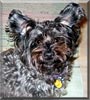 Sparky
