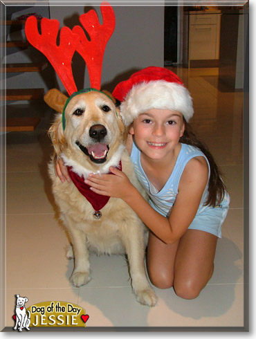 Jessie, the Dog of the Day